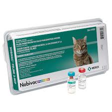 FVRCP Vaccine For Cats