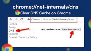 chrome://net-internals/dns